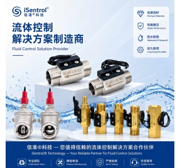Flow Switch